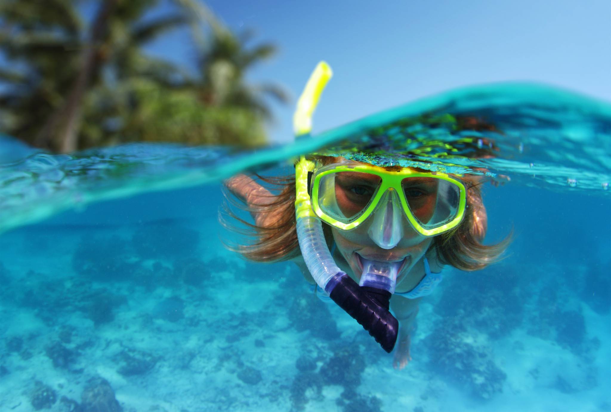 Snorkelling/Diving Magic Reef Beachfront Bungalows